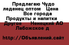 Предлагаю Чудо леденец оптом › Цена ­ 200 - Все города Продукты и напитки » Другое   . Ненецкий АО,Лабожское д.